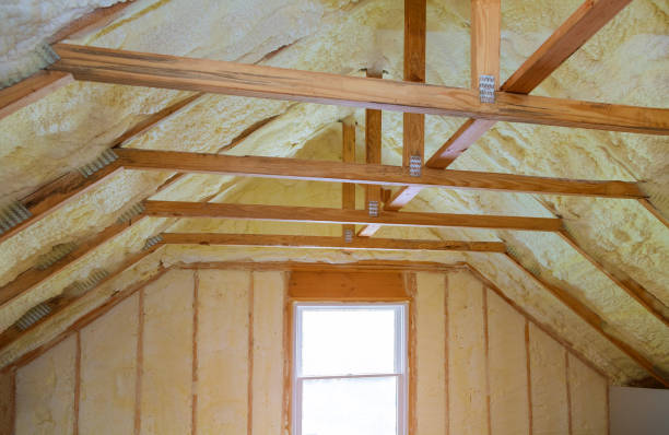 Best Attic Insulation Installation  in Columbus, NE