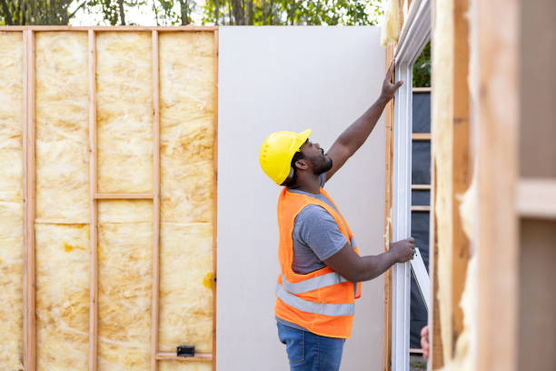 Best Insulation Replacement Services  in Columbus, NE