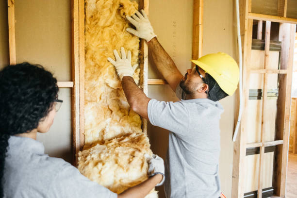 Best Insulation Repair Services  in Columbus, NE