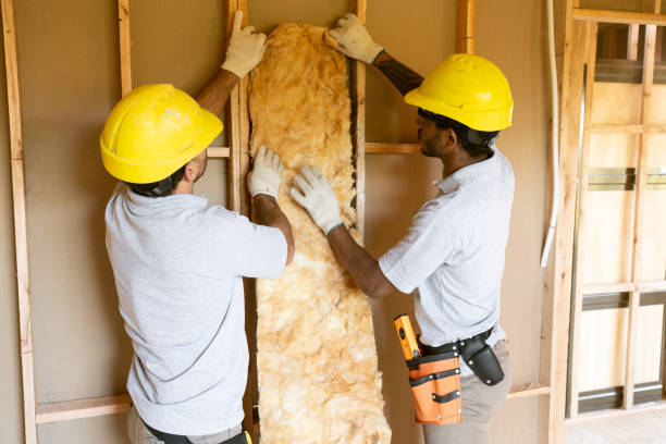 Best Energy-efficient Insulation  in Columbus, NE