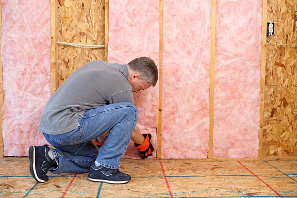 Best Home Insulation Services  in Columbus, NE