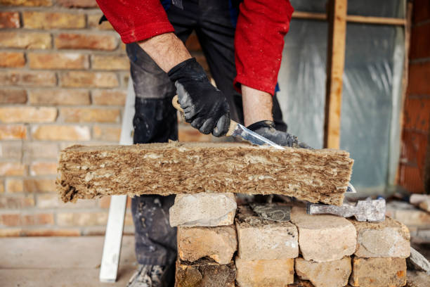 Best Insulation Replacement Services  in Columbus, NE