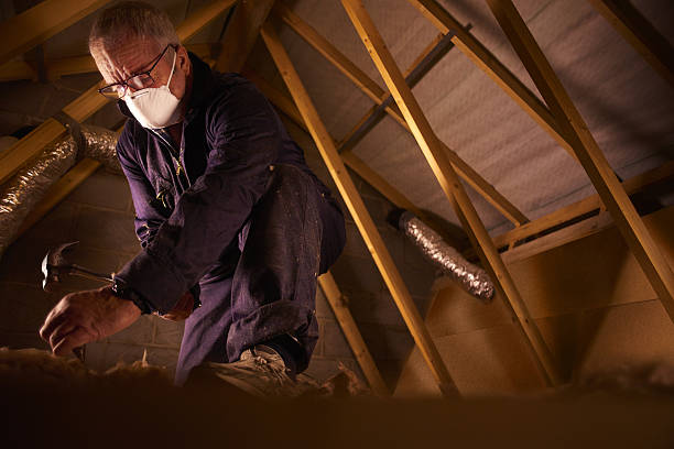 Best Residential Insulation Services  in Columbus, NE