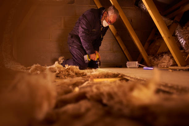 Insulation Replacement Services in Columbus, NE